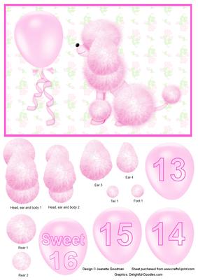 Pink Teen Birthday Poodle