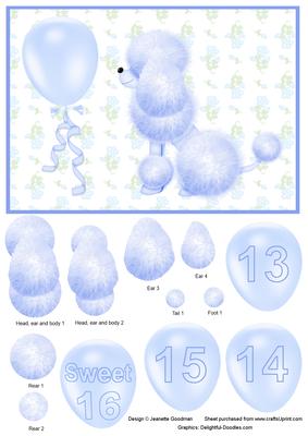 Blue Teen Birthday Poodle