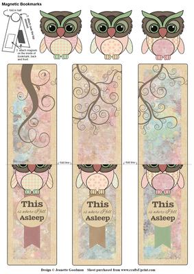 Pink and Green Owls Magnetic Bookmarks