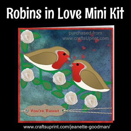 Robins in Love Night Kit