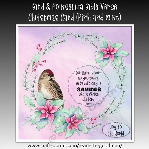 Bird and Poinsettia Bible Verse Christmas Card Kit Pink and Mint