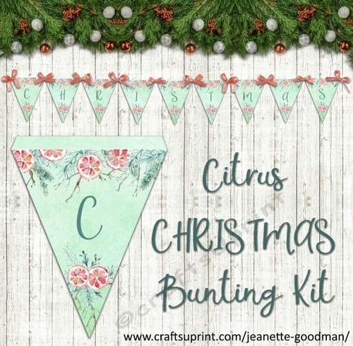Printable Citrus Christmas Bunting Kit
