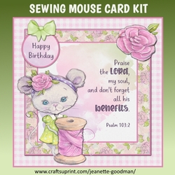 Sewing Mouse Optional Bible Verse Card Kit 