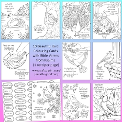 10 Birds and Psalms Bible Verse Colouring Cards