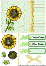 Sending You Sunshine Sunflower 1