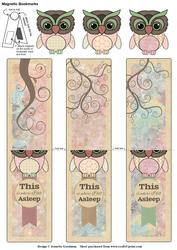 Pink and Green Owls Magnetic Bookmarks