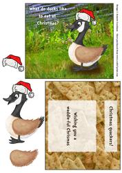 Funny Christmas Joke Christmas Quackers