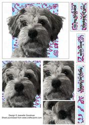 Painted Puppy Pyramage 1