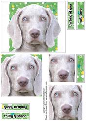 Painted Puppy Pyramage 2