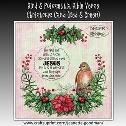 Bird and Poinsettia Bible Verse Christmas Card Kit Red and Green