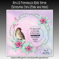 Bird and Poinsettia Bible Verse Christmas Card Kit Pink and Mint
