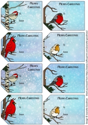 Winter birds Christmas gift tags
