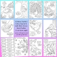 10 Birds and Psalms Bible Verse Colouring Cards