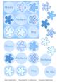 9 Blue Flowers in a Square Card