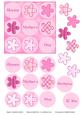 9 Pink Flowers in a Square Card