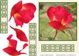 Mothers Day Rose Decoupage Green
