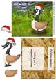 Funny Christmas Joke Christmas Quackers