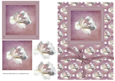 White Rose Card Front