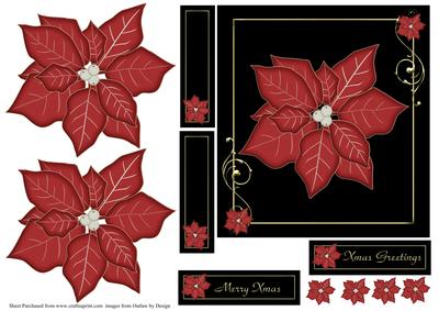 Xmas Poinsettias