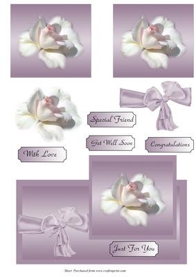 Pink and White Rose Card Front