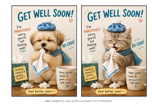 Cat & Dog 5x7 get Well Toppers