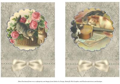 Cute Cats Card Fronts