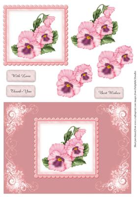Pink Pansy Card Front