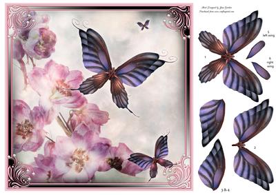Butterfly Pink