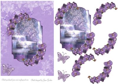 Waterfall Orchids