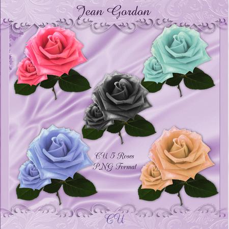 Cu 5 Roses