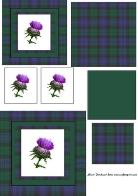 Scotland Black Watch Tartan Toppers/card Front