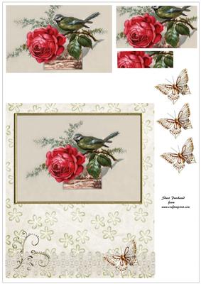 Bird and Roses Card Front with Pyramage