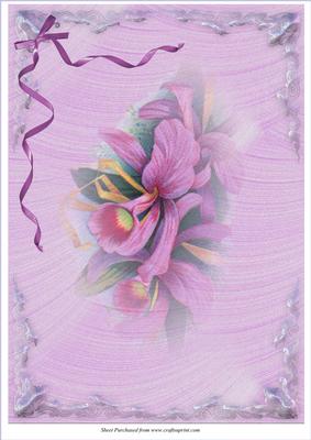 Lilac Orchid A4 Card Front