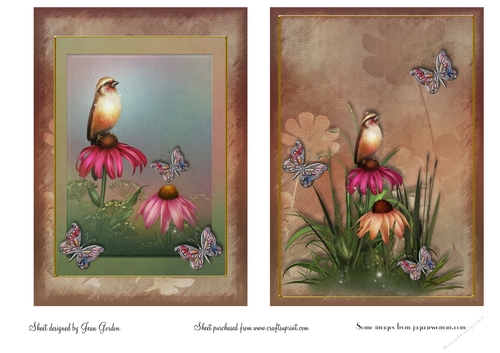 Birds, Flowers & Butterflies