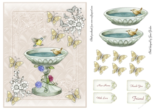 Birds and Butterfles