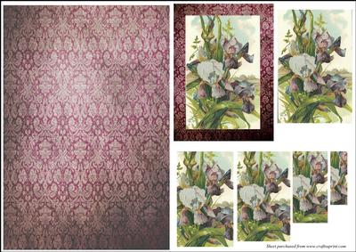 Victorian Irises with Backing Paper