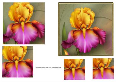 Orchid Toppers with Pyramage