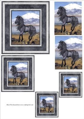 Black Beauty Toppers