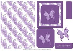 Butterflies and Flowers