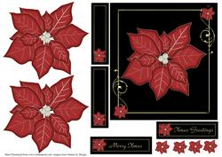 Xmas Poinsettias