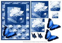 Blue Butterfly & Rose Card Front