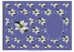 White Poinsettia Xmas Insert