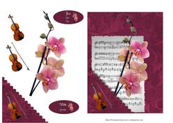 Orchids & Violins