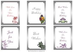 6 Birthday Toppers/sentiments