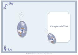 Baby Boy Insert