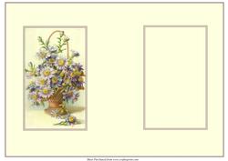Floral Insert 28 Daisies