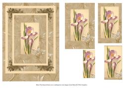 Crocus Card Front with Pyramage