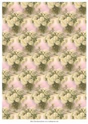 Floral Backing Paper 1
