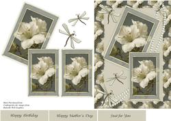 Flowers,pearls & Butterflies