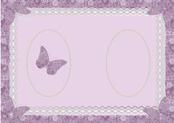 Butterflies & Lace Insert
